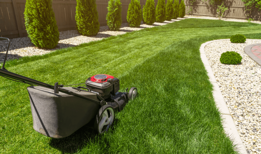 LAWN CARE SERVICES